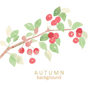 watercolor invitation card with branch of crab apple.  red small apples with leaves
