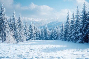 Naklejka premium Snowy winter season background in nature