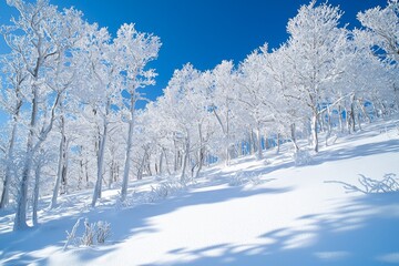 Fototapeta premium Snowy winter season background in nature