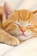 A Calming Moment of a Reiki Healer Providing Energy Healing to a Peaceful Cat in Soft Pastel Tones