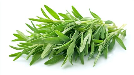A close-up of fresh tarragon sprigs with their narrow, pointed leaves, isolated on a white background