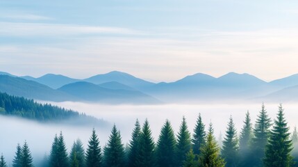 Obraz premium Forestry, clouds and mountain view from far away