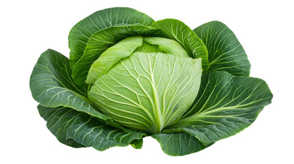 Obraz premium Fresh green cabbage with vibrant leaves, isolated on transparent background.
