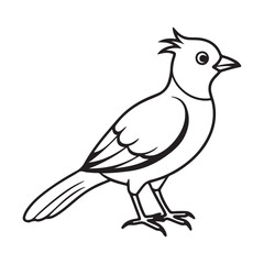 Bird Silhouette vector Graphic perfect for design projects