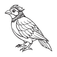 Bird Silhouette vector Graphic perfect for design projects