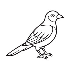 Bird Silhouette vector Graphic perfect for design projects
