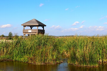 Narwiański Park Narodowy © Tomasz