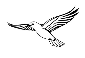 Obraz premium Flying Bird Sketch