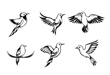 Silhouette Set of Flying Birds