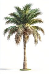 Obraz premium A vibrant palm tree stands on sandy ground against a colorful, warm background in a tranquil setting