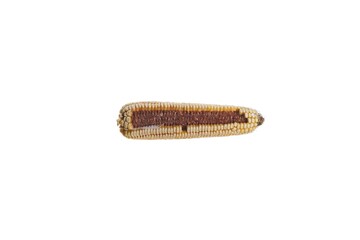 Corn cob partially without grain on a white background.