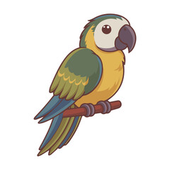 Fototapeta premium Parrot Vector, Image and Picture