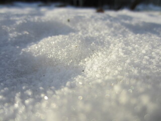 Macro Snow in the Sun in Belarus 2013