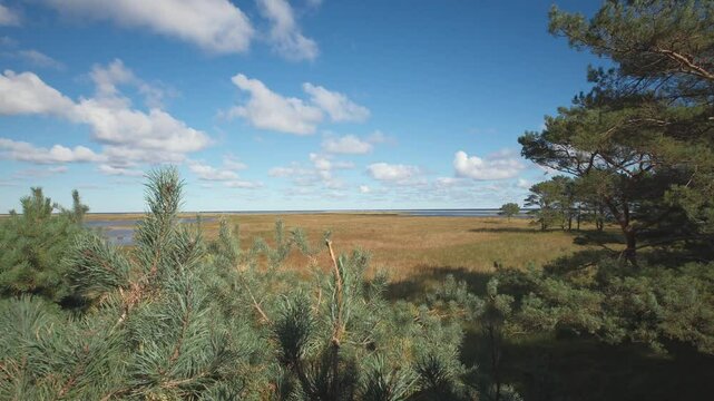 Landschaft im Nationalpark Vorpommersche Boddenlandschaft 
