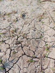 dry soil background, texture dry soil