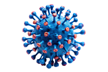 A close-up image of a blue and red coronavirus with spiky protrusions, representing the virus's structure and how it spreads.