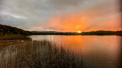 Naklejka premium Beautiful orange sunset lakeside landscape scenery at Ross lake, Roscahill, Galway, Ireland, nature background