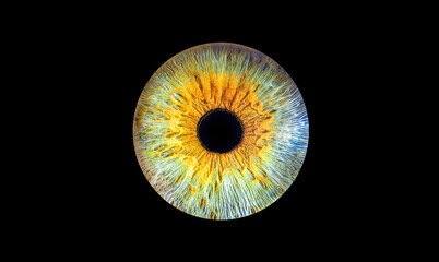 A Vibrant Abstract Eye Design with a Beautiful Colorful Texture that captivates imagination, iris