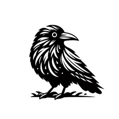 Obraz premium Crow or raven isolated modern vector illustration