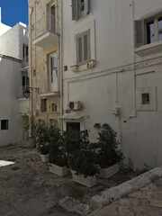Fototapeta premium Elevation of buildings in a narrow street in the center of the old town. Bari, Italy.