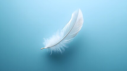 Obraz premium Single White Feather on Blue Background