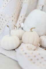 Autumn decoration with white pumpkins nestled on a cozy knit blanket in a softly lit setting