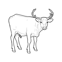 Cow line Art Drawing on an isolated white background 