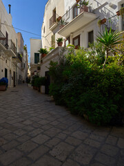 Street in the town. Narrow street in the old town center. Facade of old buildings. Puglia, Italy.