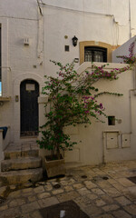Elevation of buildings in the old city center. Narrow street with tenement houses in the old city. Bari, Italy.