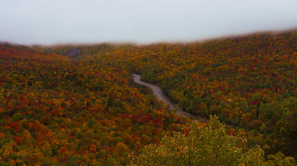 Fototapeta premium Epic Autumn Road On Cloudy Day Fall Foliage Forest. Curvy Scenic Byway Winds Though Colorful Trees Adirondacks New York View From Above