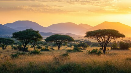 Obraz premium Breathtaking Sunset Over the Vast Savannah Landscape