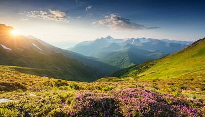 amazing spring summer mountain landscape natural background