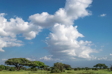 Kenya is a country in East Africa with a coastline on the Indian Ocean.