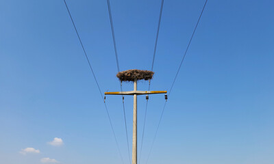Reinforced concrete pole on an electric power line with a stork's nest on its top