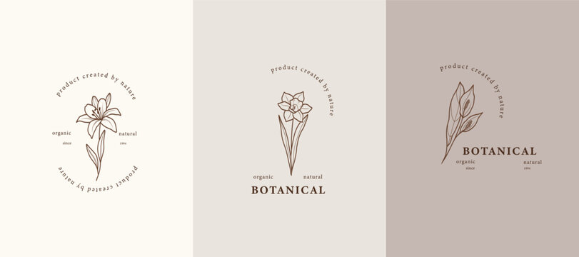 Line art floral logotypes. Lily, daffodil, spathiphyllum illustration
