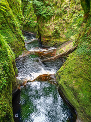Fototapeta premium Finnich Glen and the Devil's Pulpit at the Finnich Gorge in Scotland.