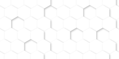 Abstract white background with hexagon and hexagonal background. Luxury white pattern with hexagons. abstract 3d hexagonal background with shadow. 3D futuristic abstract honeycomb mosaic background.