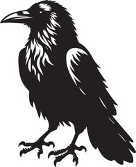 Black Crow Bird Silhouette isolated on a white background Minimalist crow vector illustration
