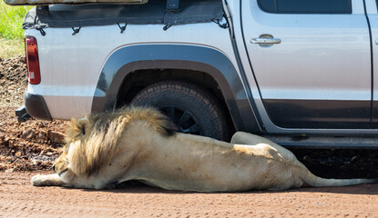 Kenya is a country in East Africa with a coastline on the Indian Ocean.