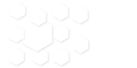 Fototapeta premium Abstract white background with hexagon and hexagonal background. Luxury white pattern with hexagons. abstract 3d hexagonal background with shadow. 3D futuristic abstract honeycomb mosaic background.