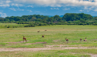 Kenya is a country in East Africa with a coastline on the Indian Ocean.