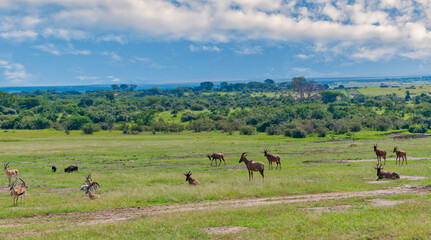 Kenya is a country in East Africa with a coastline on the Indian Ocean.