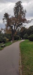 road in the park 