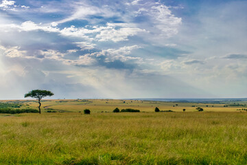 Kenya is a country in East Africa with a coastline on the Indian Ocean.