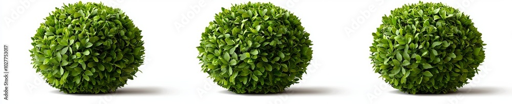 Aufkleber an architectural visualization with a bush 3d rendering with transparent background, for illustratio