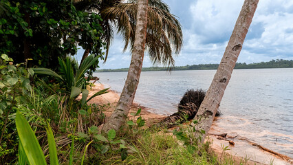 The coast of Equatorial Guinea, Africa. Coconut palms tower over sandy beaches. © Igor