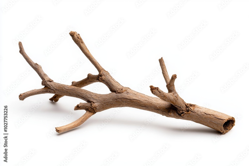Aufkleber background is transparent with a dry tree branch isolated on it.