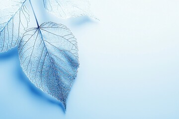 A leaf is shown on a blue background