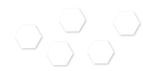 Abstract white background with hexagon and hexagonal background. Luxury white pattern with hexagons. abstract 3d hexagonal background with shadow. 3D futuristic abstract honeycomb mosaic background.