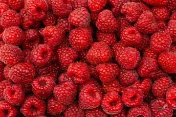 Tasty fresh raspberry as a background.